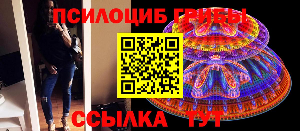 Псилоцибиновые грибы Psilocybe Нальчик